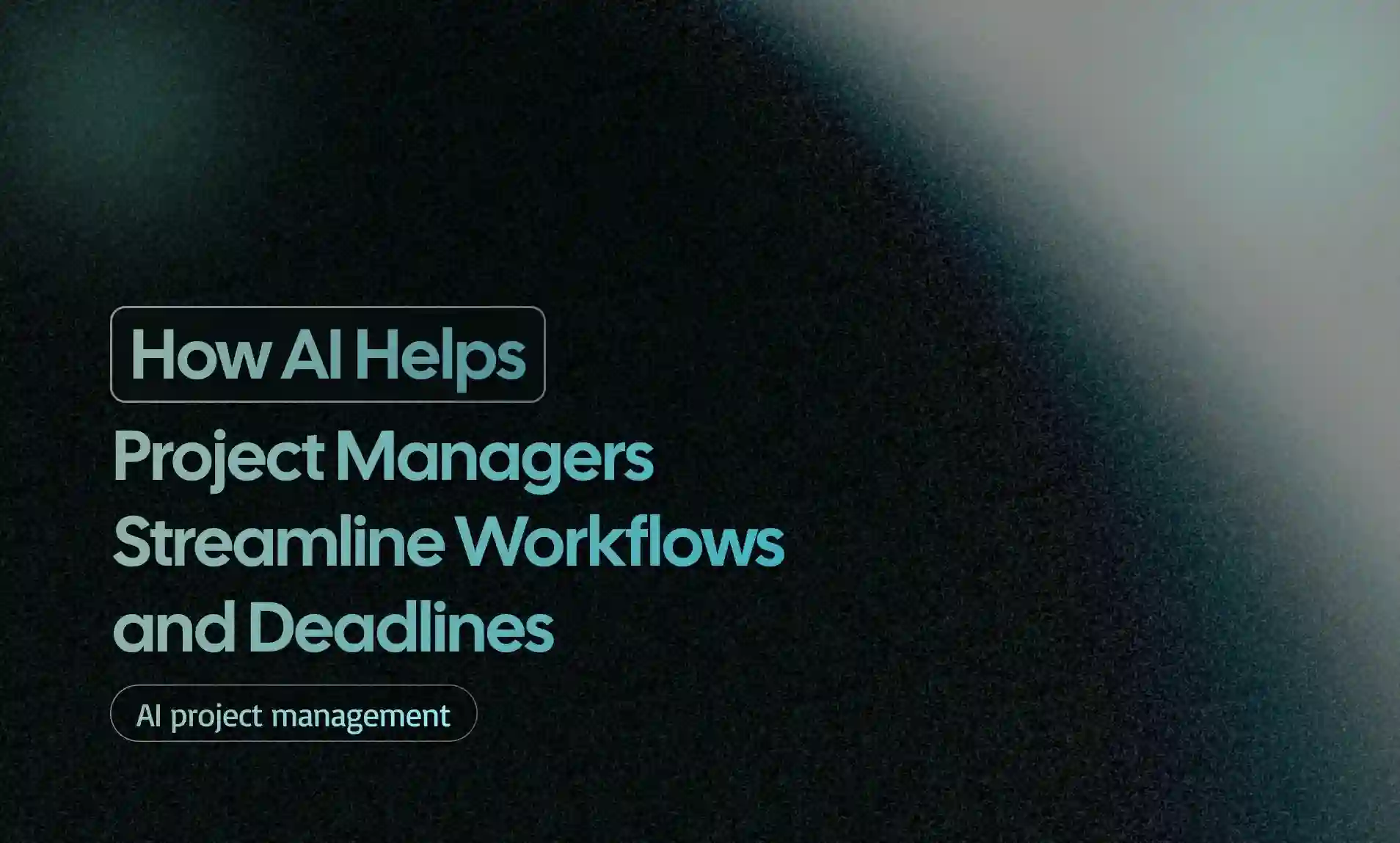 Project Managers Streamline Workflows and Deadlines